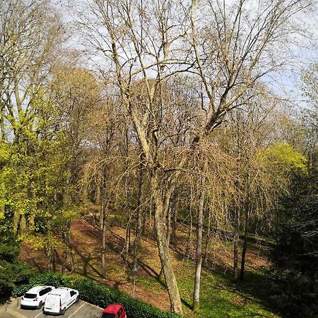 Chambre D'Hote Au Parc Des Thibaudieres Boussy-Saint-Antoine Exterior photo
