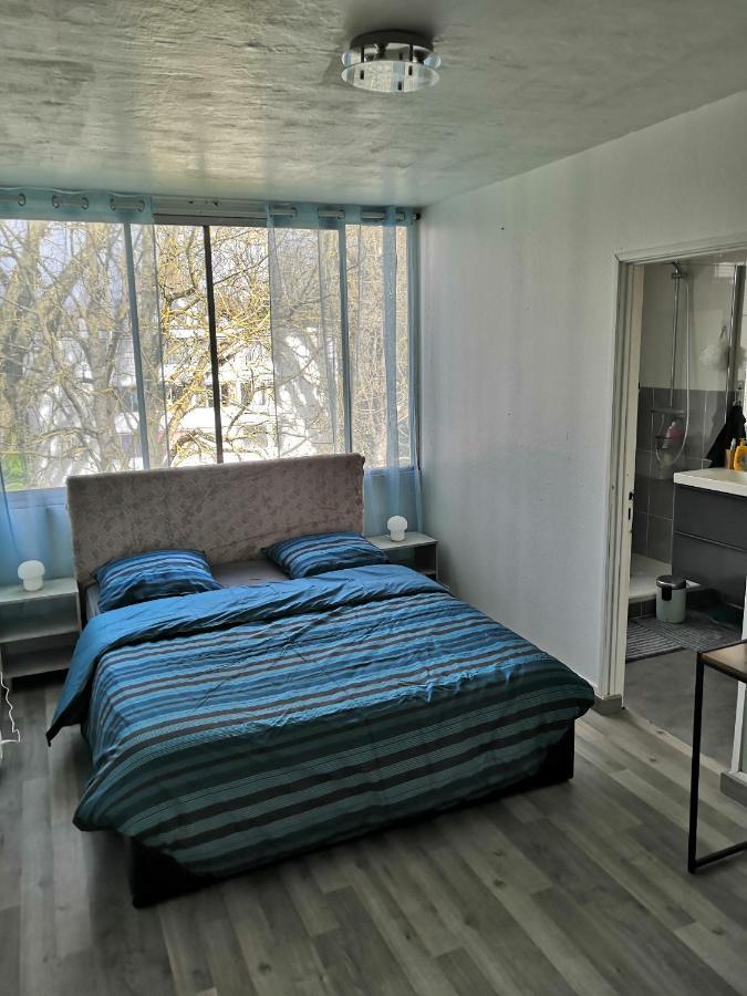 Chambre D'Hote Au Parc Des Thibaudieres Boussy-Saint-Antoine Exterior photo