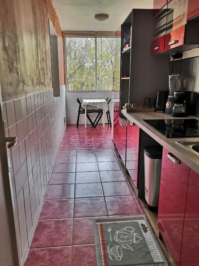 Chambre D'Hote Au Parc Des Thibaudieres Boussy-Saint-Antoine Exterior photo